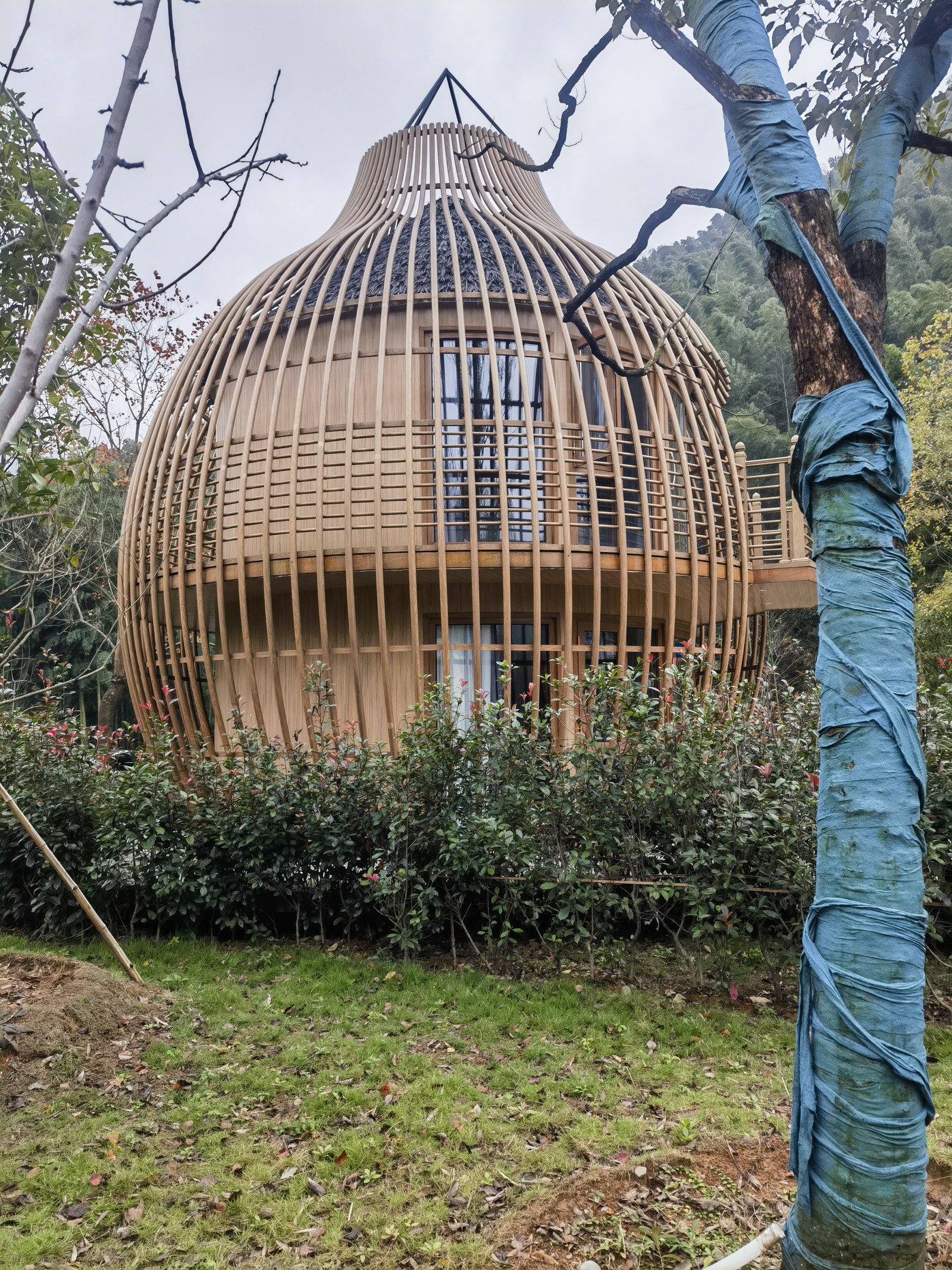 双层仿竹鸟巢民宿 实景鸟巢结构|悦腾竹文化