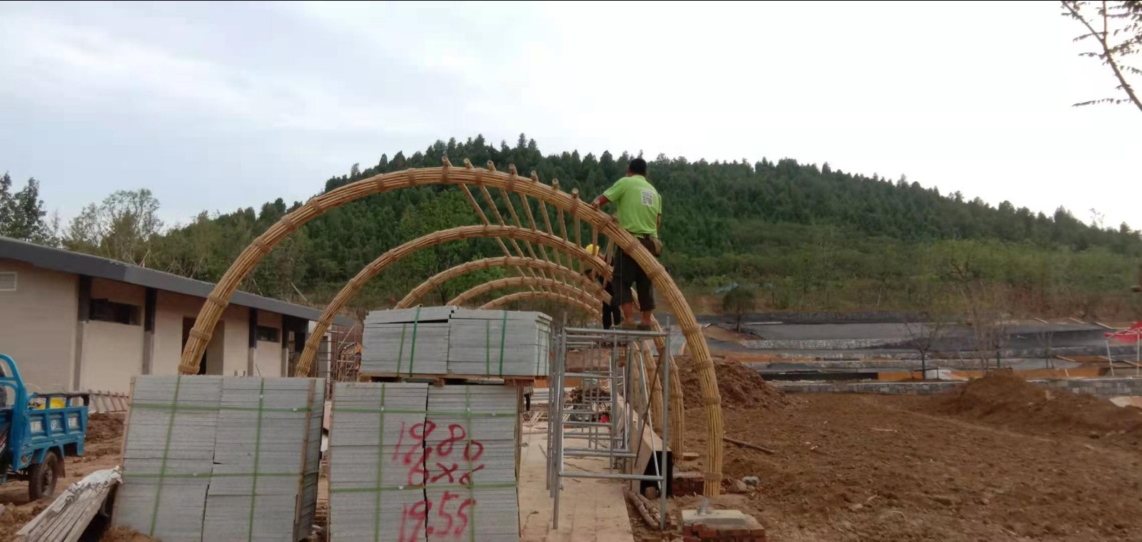 拱形竹廊架骨架成型,毛竹拱架立在场地中