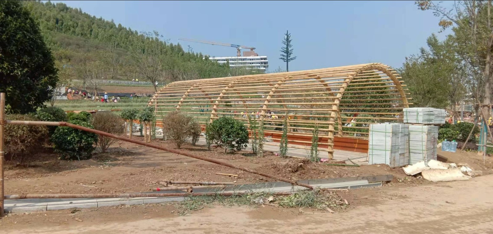 完工实景:横向展开的竹廊架拱架序列