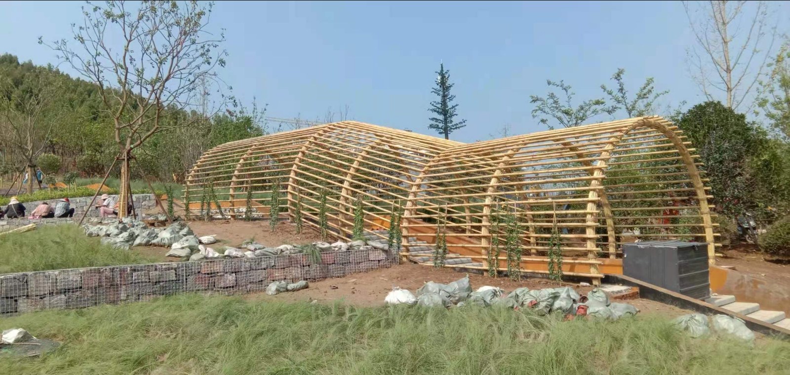 徐州园博园竹廊架全景:火烤弯曲毛竹拱架与远山