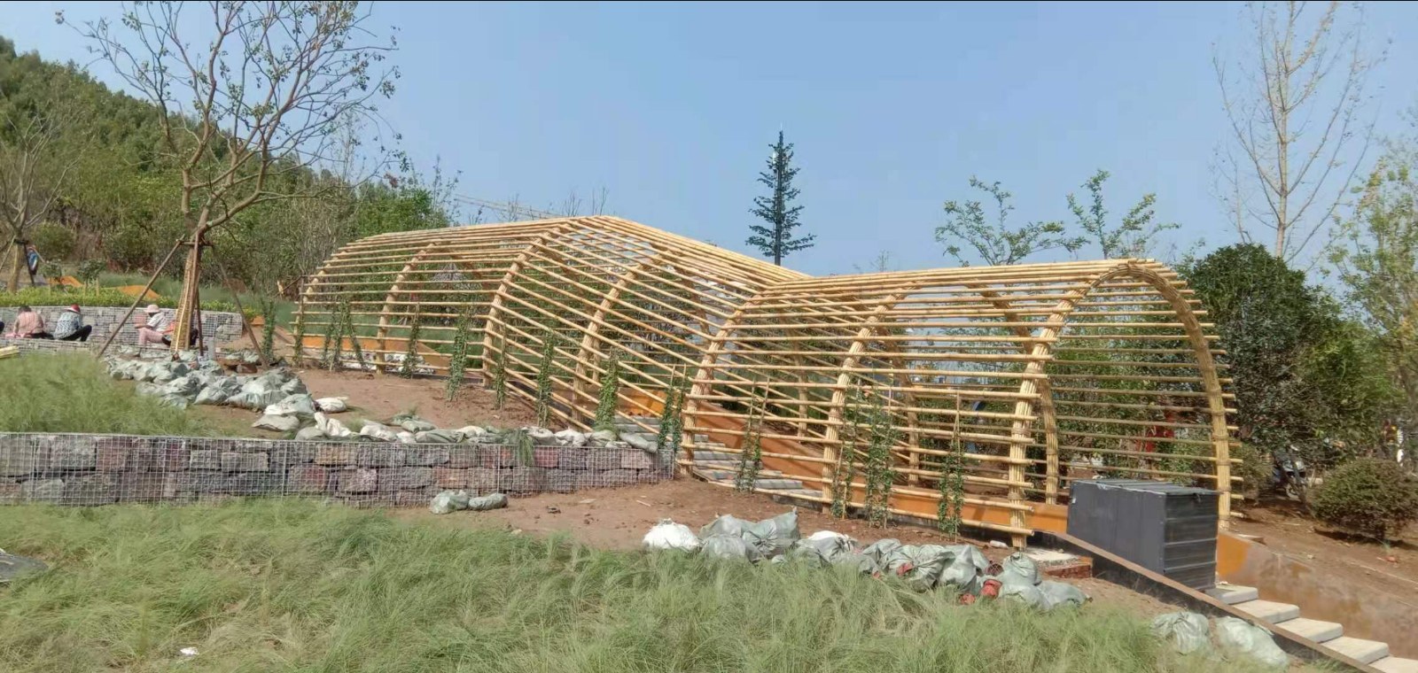 徐州园博园竹廊架远景:双套竹廊架与园区园路