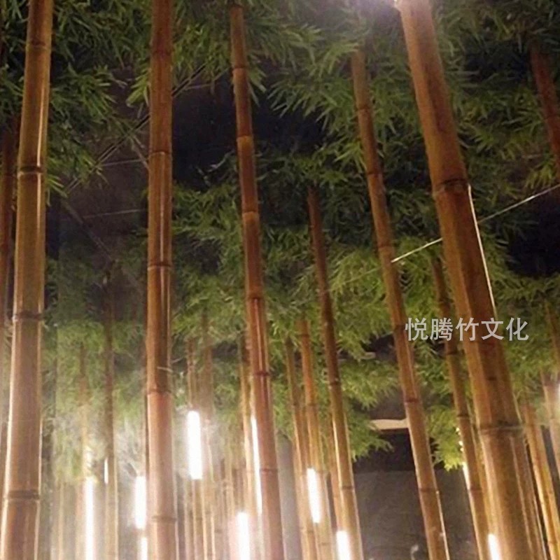 竹节太阳能草坪灯 实拍图